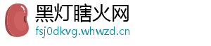 黑灯瞎火网